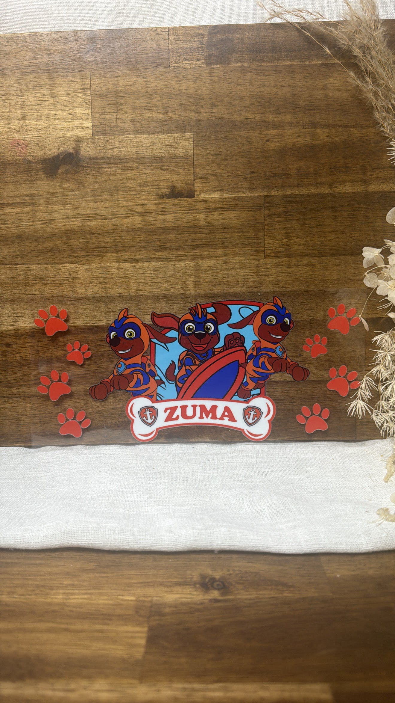 Paw Patrol Zuma