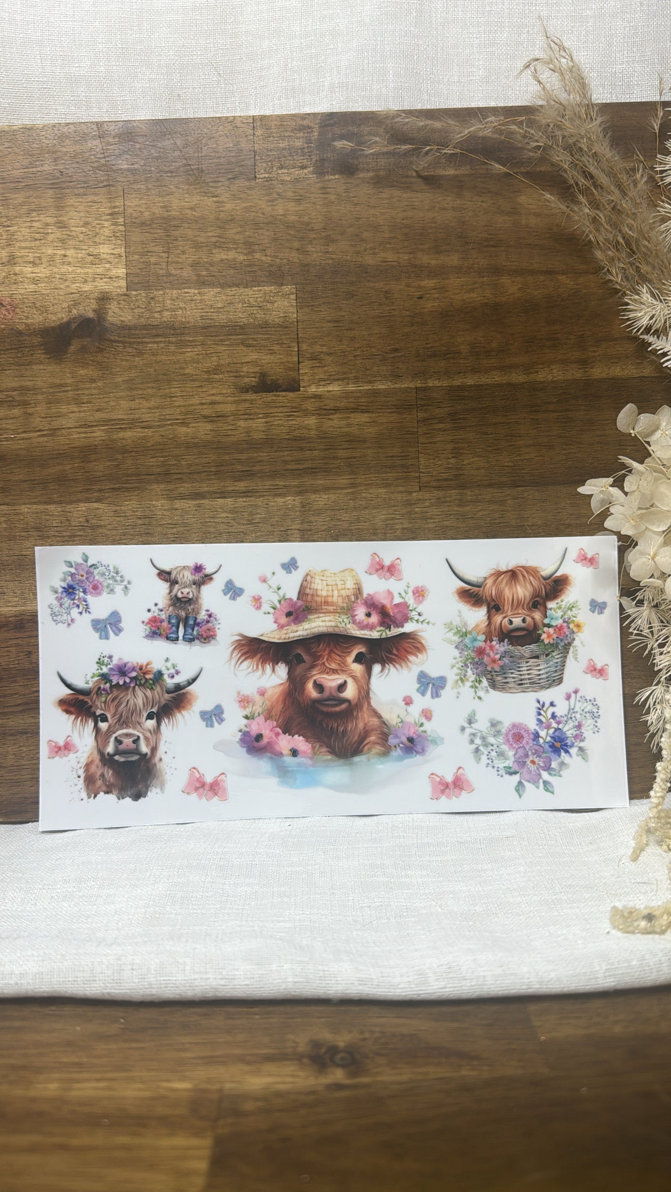 Highland cow