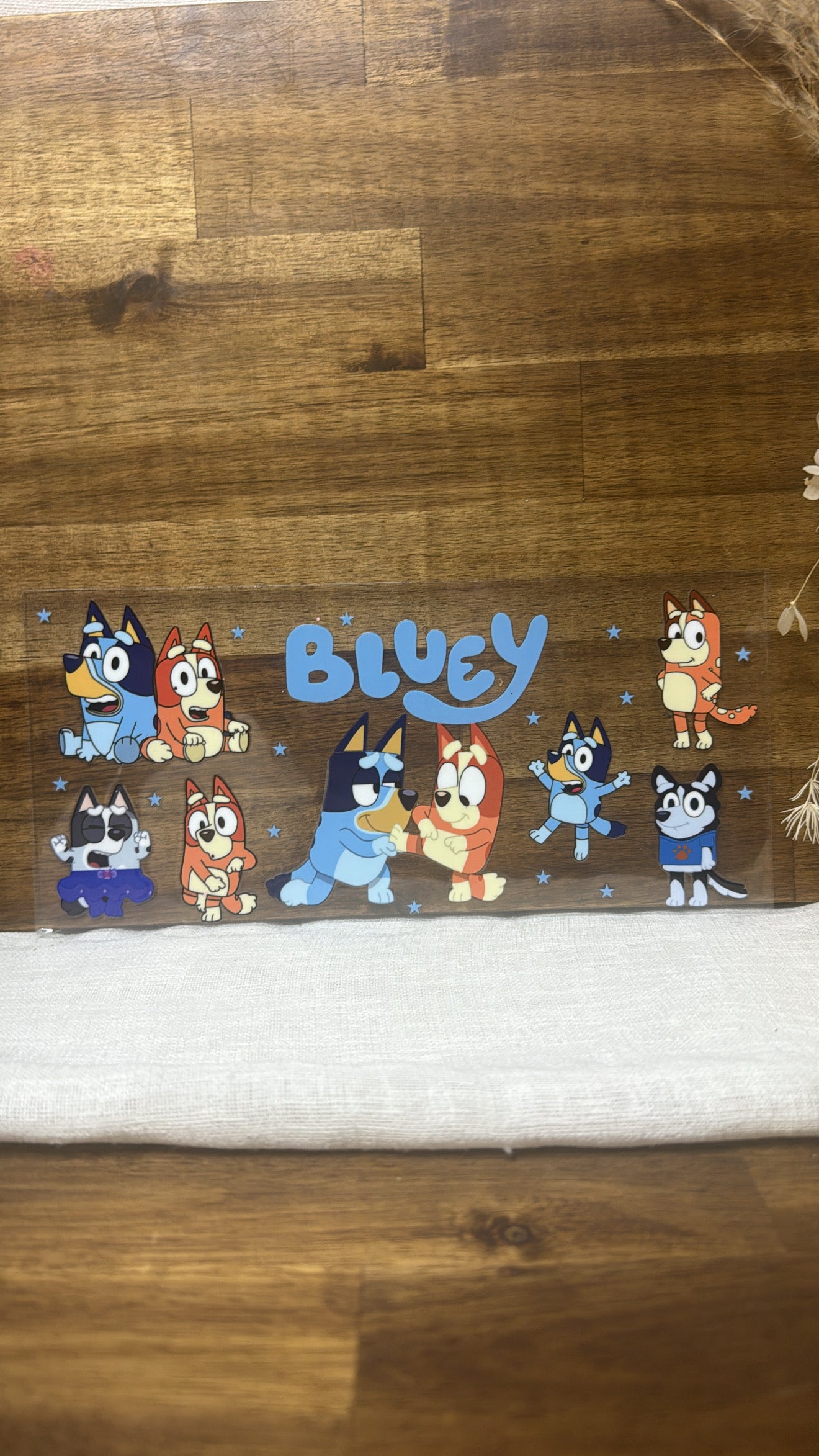 Bluey stars