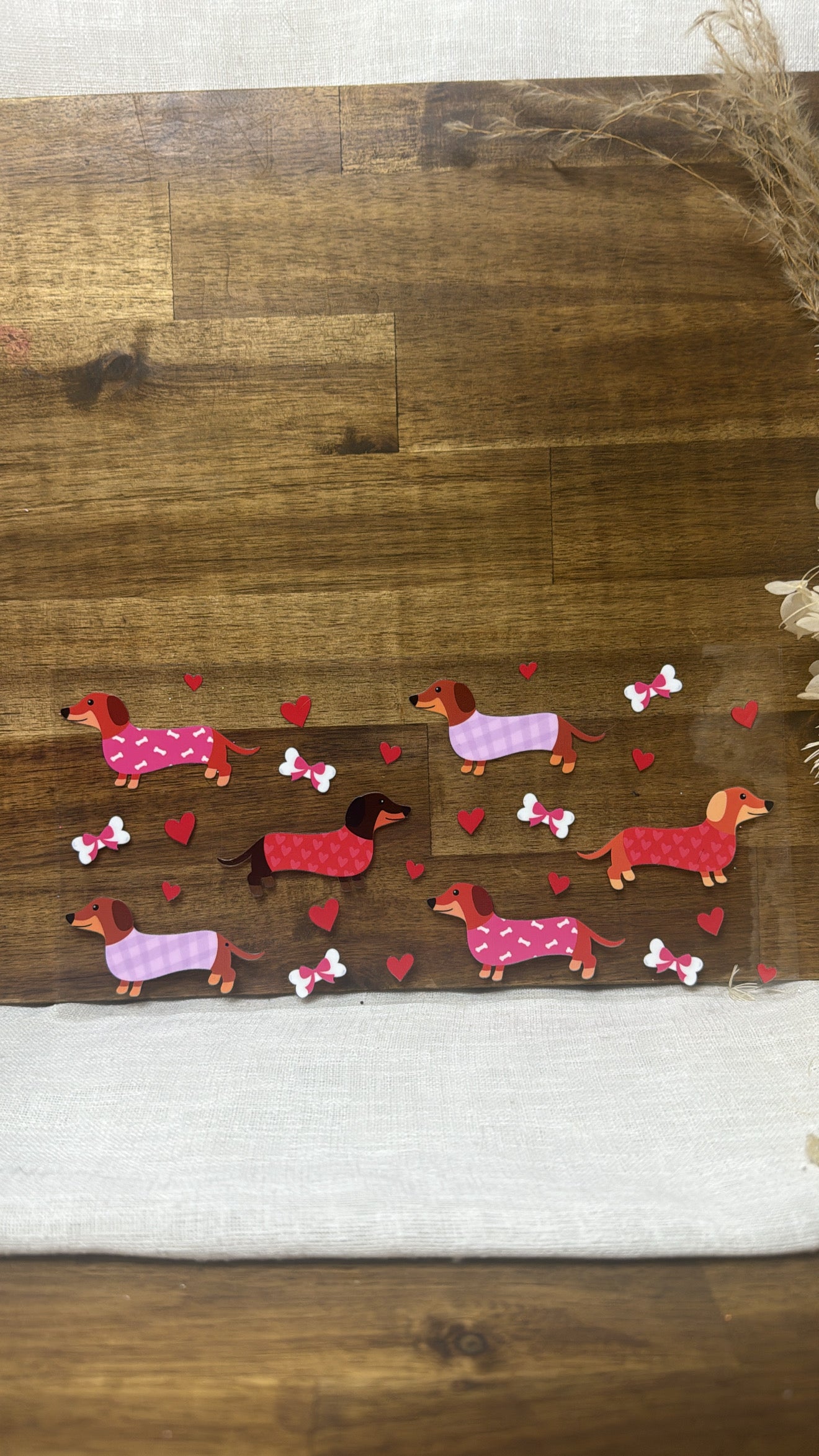 Dachshund