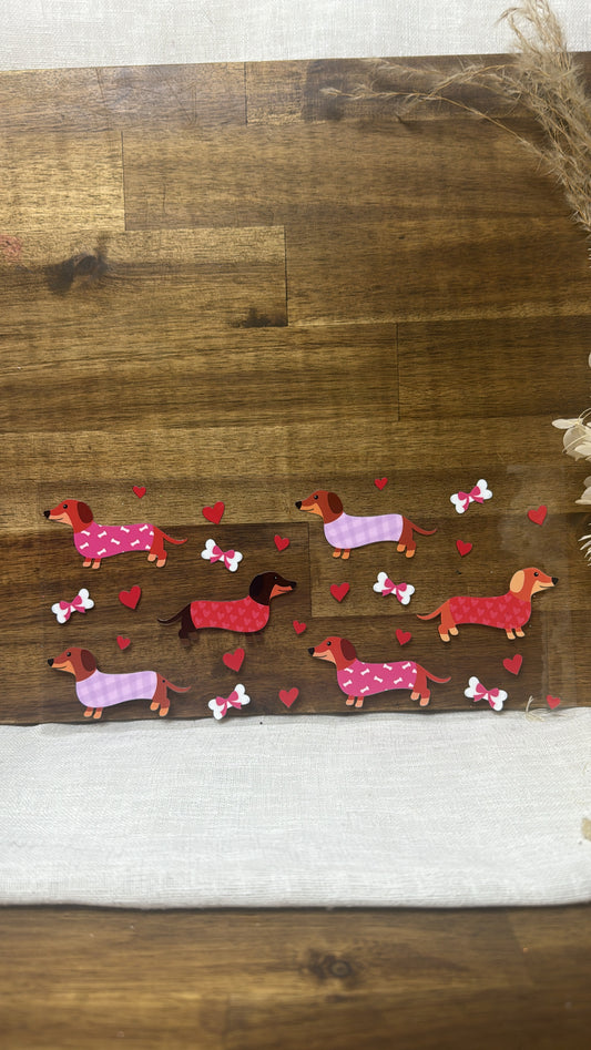Dachshund